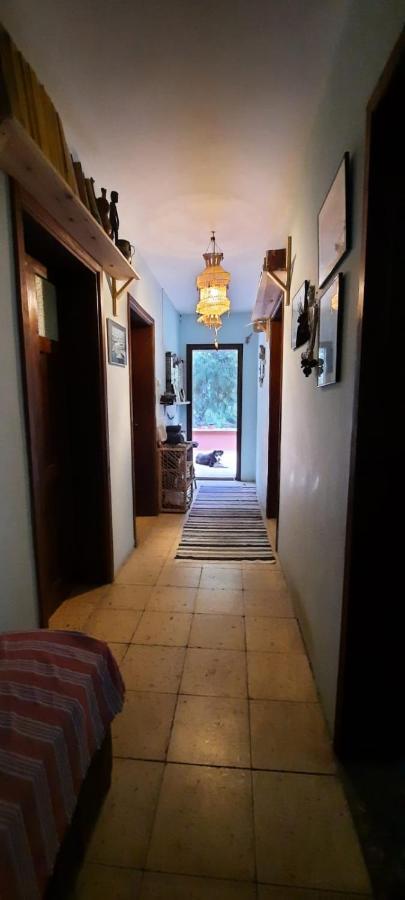 Ecer Pansiyon Kusadası Exteriér fotografie