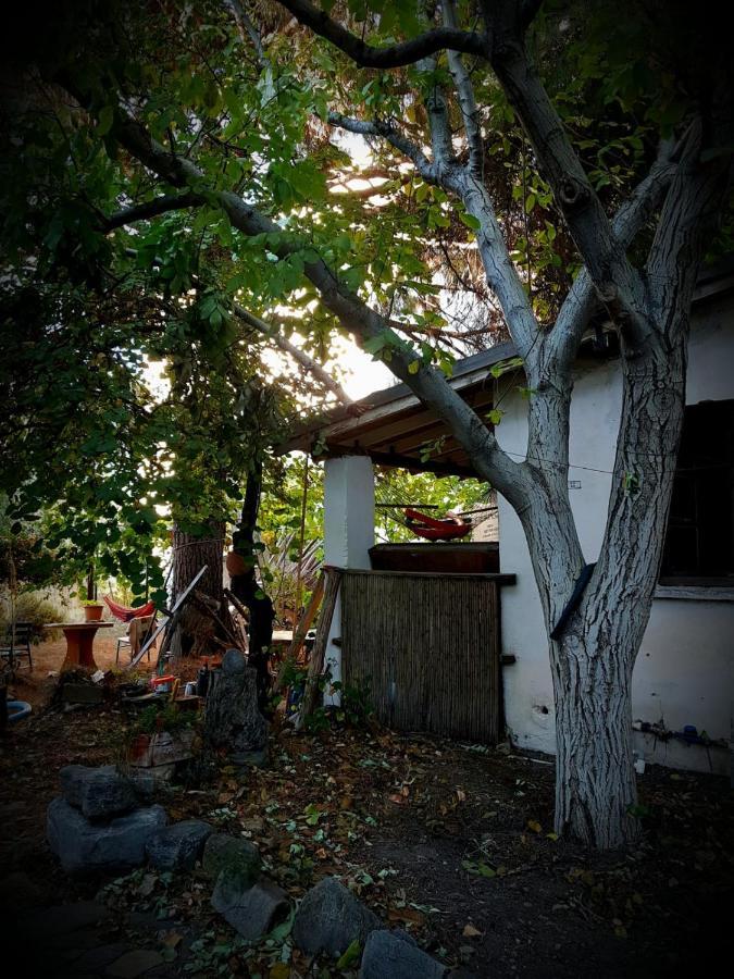 Ecer Pansiyon Kusadası Exteriér fotografie