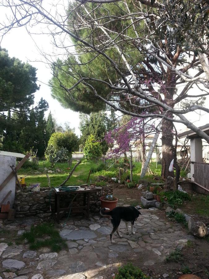 Ecer Pansiyon Kusadası Exteriér fotografie