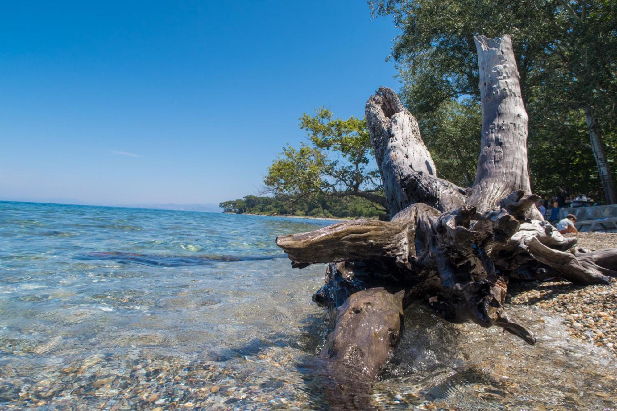 Ecer Pansiyon Kusadası Exteriér fotografie